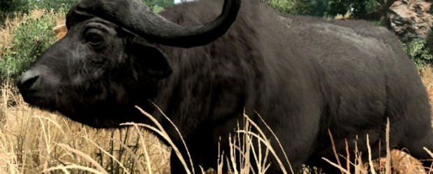 Cabela’s Big Game Hunter 2010 More like a shooting gallery than a traditional hunting game. Hunting games have always been an interesting genre of gaming. Rarely do they appeal to anyone outside of the fans...