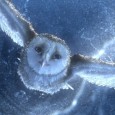 Legend of the Guardians: The Owls of Ga’Hoole A licensed game worth a hoot. It is amazing that I don’t go into movie tie-in games with a sense of irritation anymore. The current...